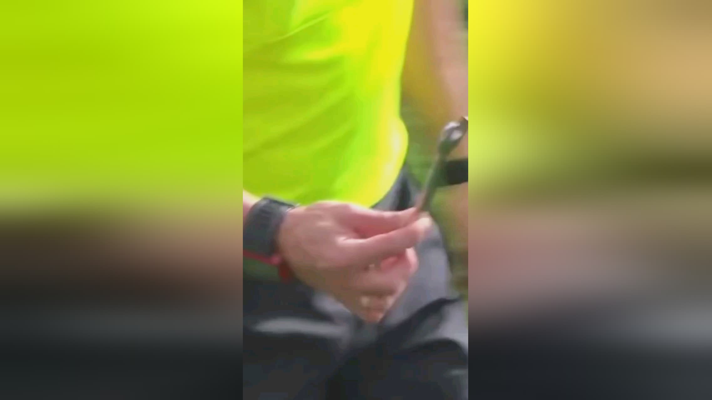 引援