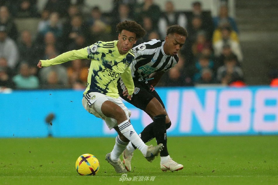 教练组也采 教练组也采