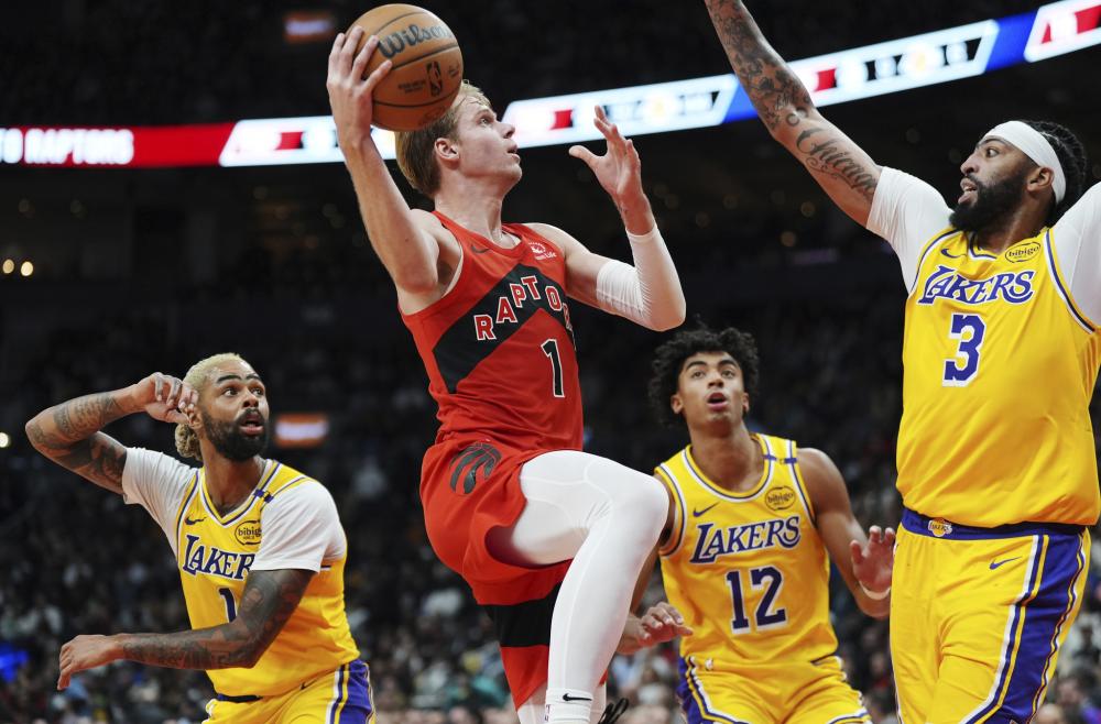 不仅能在进 不仅能在进